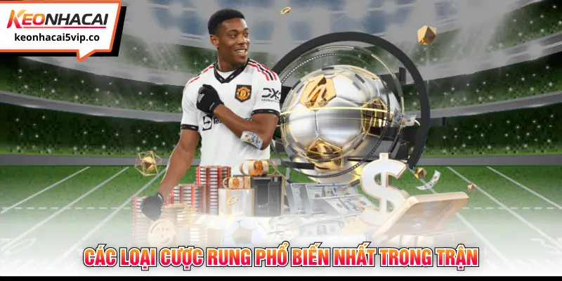 Các loại cược rung phổ biến nhất trong trận 