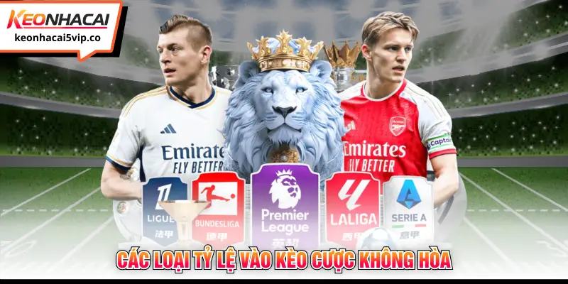 Các loại tỷ lệ vào kèo cược không hòa