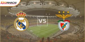 Soi Kèo Real Madrid Vs Benfica 03h00 Ngày 26/02 - Cúp C1